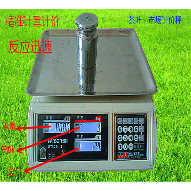 。包邮汉狮计重计价 电子称30kg/10g5g2g1g包裹秤快递秤市场计价