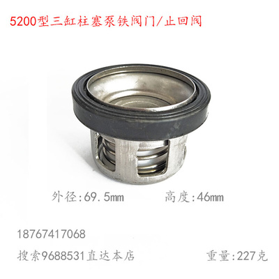 。海顺5200型OS柱塞泵单向阀门打药抽水泵活门止回阀 FT600外径69