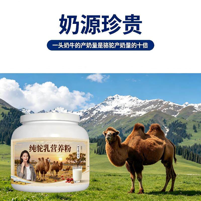 健身纯驼乳粉运动便携高蛋白多维驼奶粉原产地官方认证专用