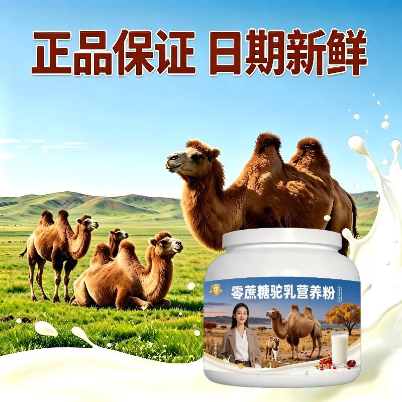 中老年零蔗糖驼乳粉睡前一杯多维低骆驼营养粉厂家直销正宗初乳配