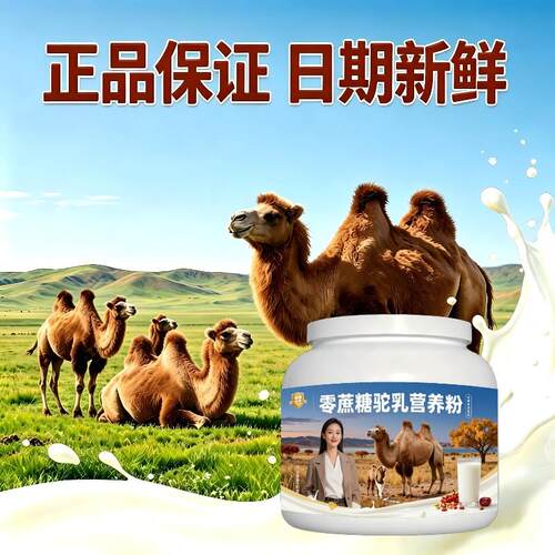 中老年零蔗糖驼乳粉睡前一杯多维低骆驼营养粉厂家直销正宗初乳配