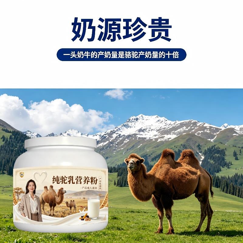 纯驼乳粉饭后饮用高蛋白骨骼驼奶粉散养正品初乳配方