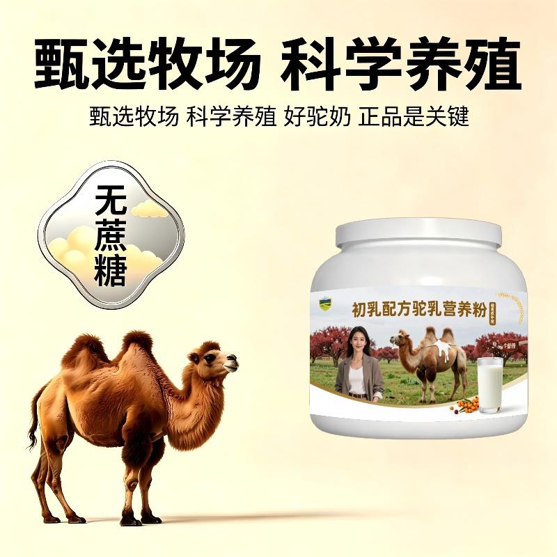 健身初乳驼乳粉日常养生益生菌护肠胃骆驼营养粉散养100%正品