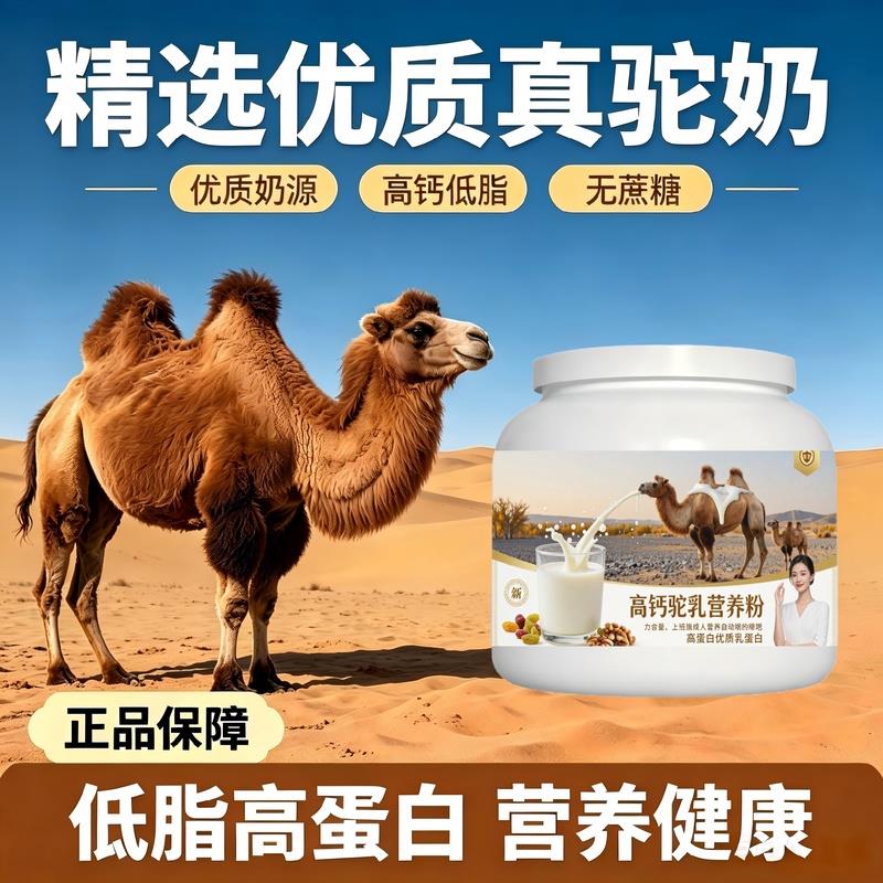 上班族高钙驼乳粉通勤便携多维粉质细腻骆驼营养粉原产地