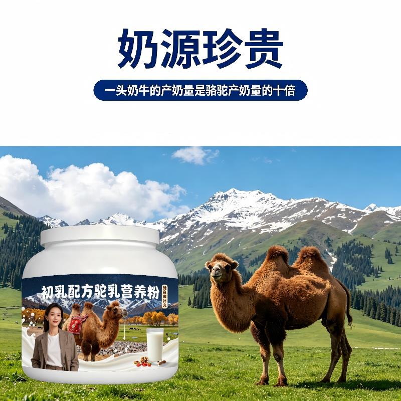 健身初乳驼乳粉早餐冲饮多维均衡营养驼乳粉丰草牧场100%正宗