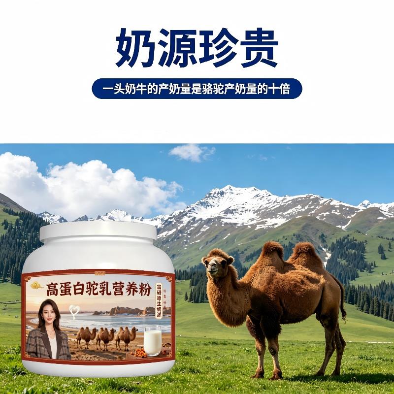 高蛋白驼乳粉晨起一杯高钙补钙骆驼营养粉丰草牧场100%正品初