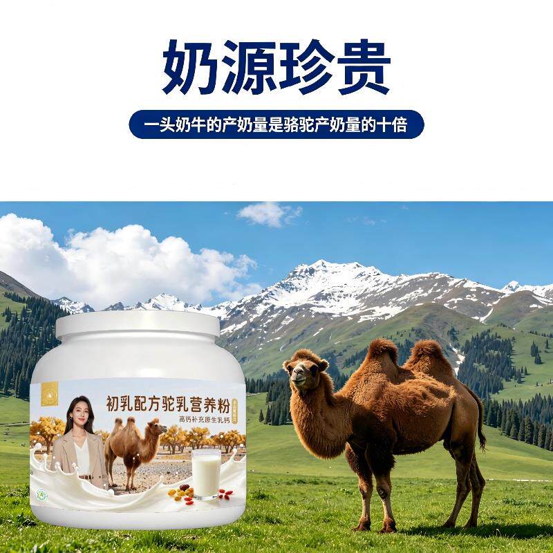 初乳驼乳粉日常养生零蔗糖高蛋白驼奶粉厂家直销官方专用
