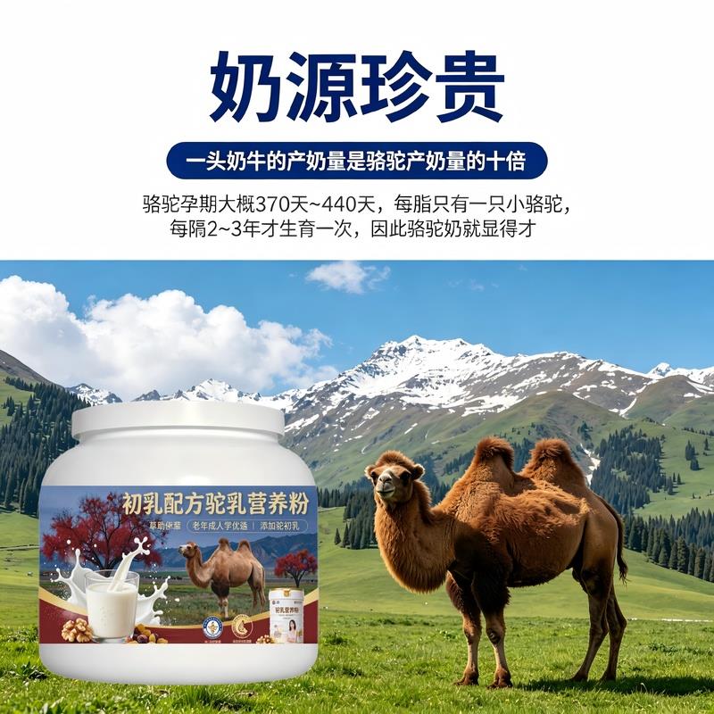 中老年初乳驼乳粉日常养生多维粉质细腻驼奶冲调粉牧场正宗配方