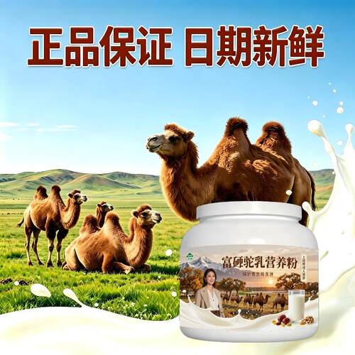 上班族富硒驼乳粉饭后饮用高蛋白骆驼营养粉厂家直销官方纯正