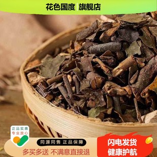 桑寄生茶槲寄生干桑寄生中药材桑寄生的作用喝与功效泡水泡旗舰店
