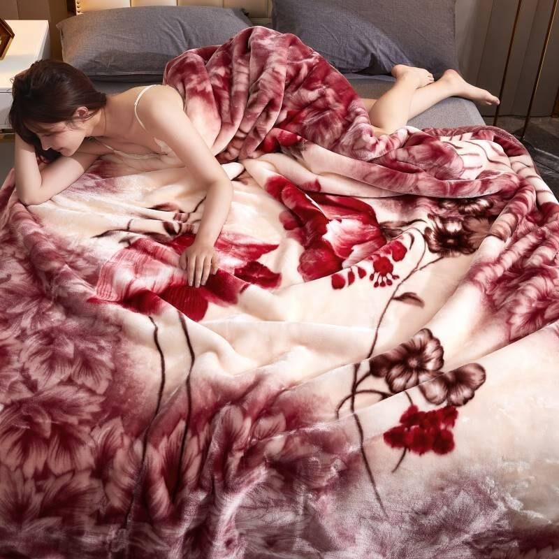 拉舍other尔毛毯被子双加厚层保厚暖冬单人学生宿舍盖毯季超12斤