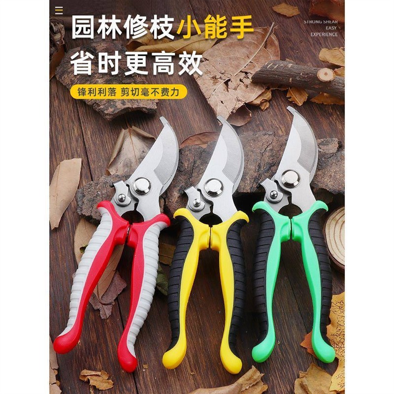 花剪枝园艺剪刀修枝剪省力修剪树枝果树竹签园林花卉花艺剪子