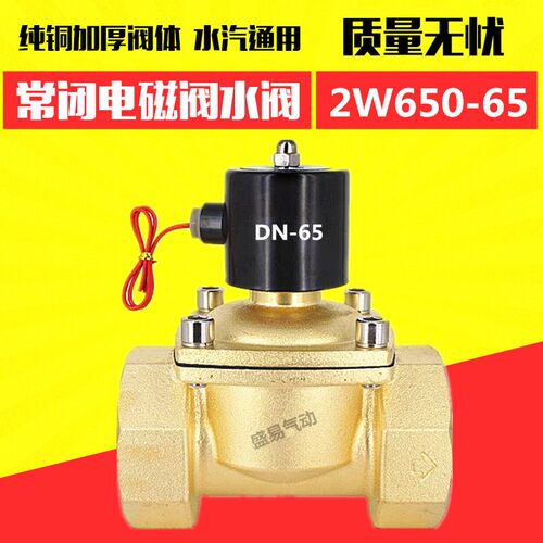 全铜 2寸半电磁阀DN65水阀气阀2W650-65开关阀AC220V DC24V TXPC