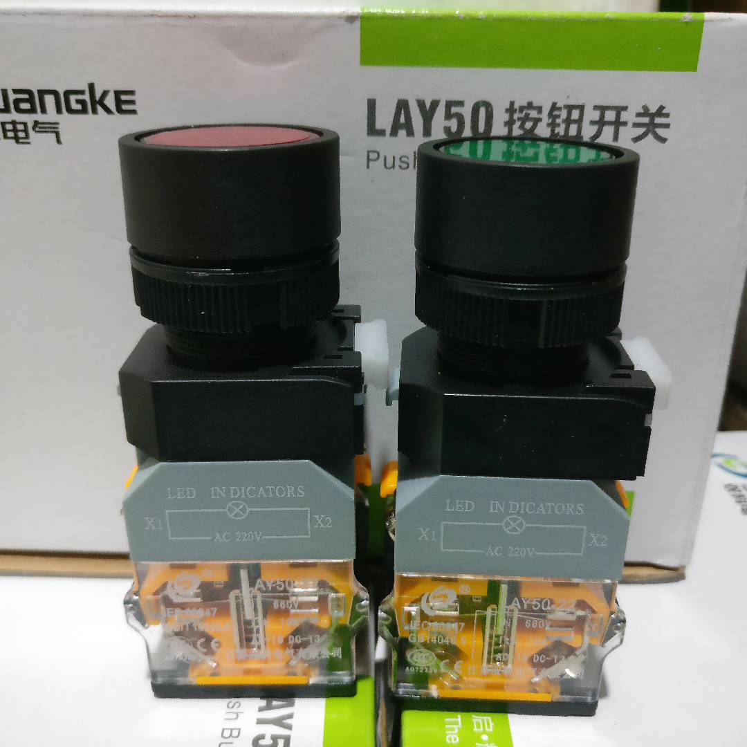 双科电气 平头带灯点动复位型按钮开关 LAY50-22C-11D
