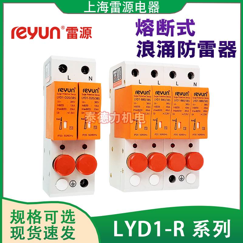 上海雷源LYD1-R/B/C/D20/40/60/100自带熔断浪涌保护器电源防雷器