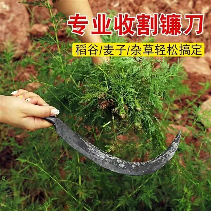 热销老式农用锯镰刀一体锻打锄草镰全钢细齿小镰锯齿割草刀割韭菜