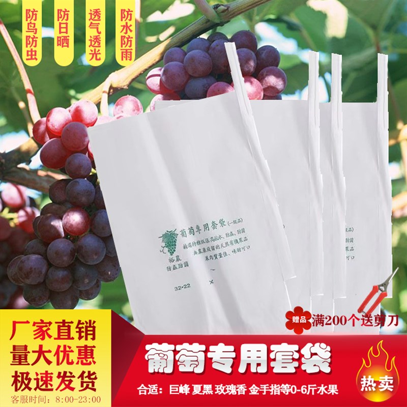 热销葡萄套袋专用纸袋防虫防鸟水果防水防雨套葡萄用的袋子莲雾专