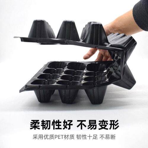 热销育苗盘穴盘菜苗专用塑料托盘多功能蔬菜秧苗种植杯神器大号营