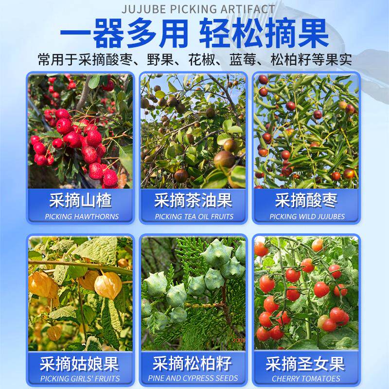 热销摘茶油果神器多功能高空采摘油茶籽酸枣山楂水果子神器伸缩杆