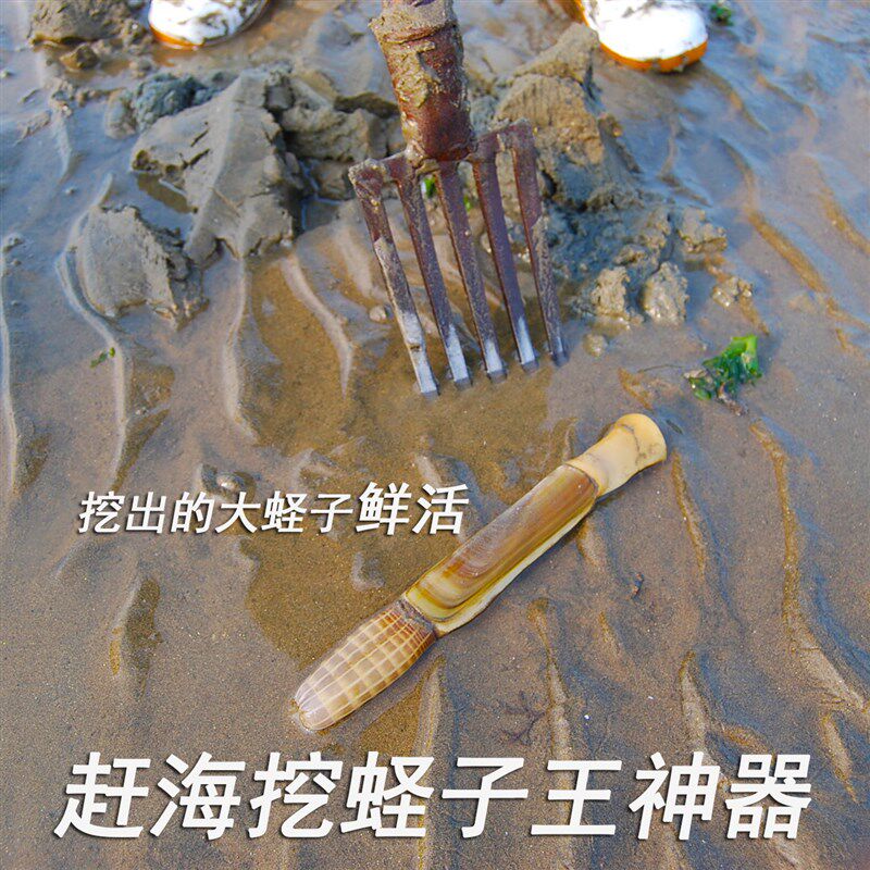 热销赶海挖蛏子王工具叉子挖大蛤蜊蛏子钩抓蛏子神器竹节蛏子