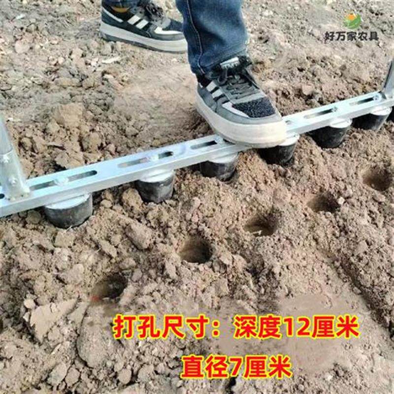 热销栽苗打孔器种花生草莓瓜果蔬菜多功能土地打洞神器定植株距打