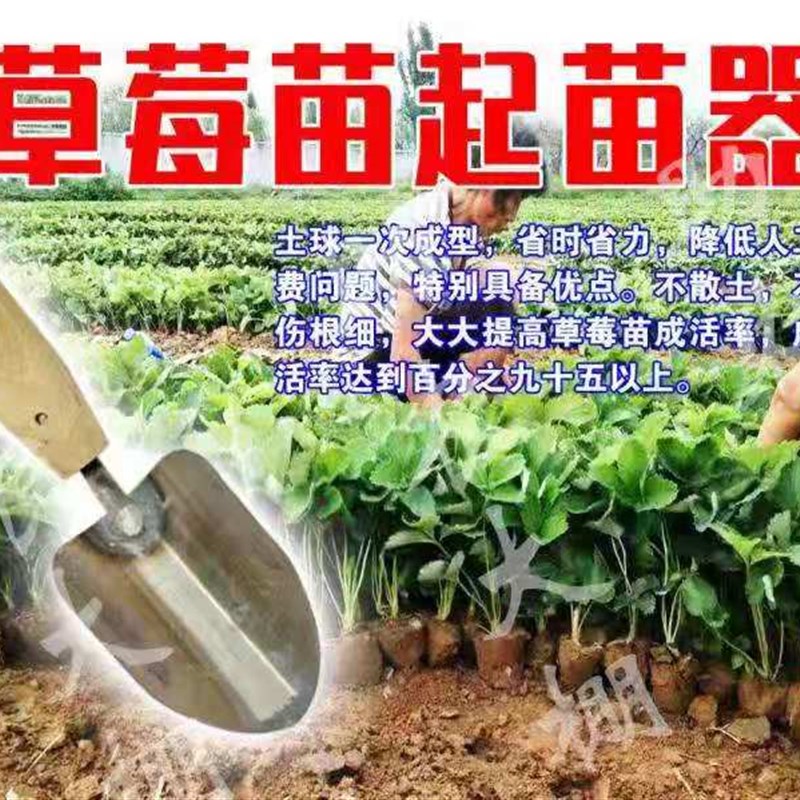 热销草莓起苗器挖假植多肉园艺园林铲子栽植移植锄刀种菜