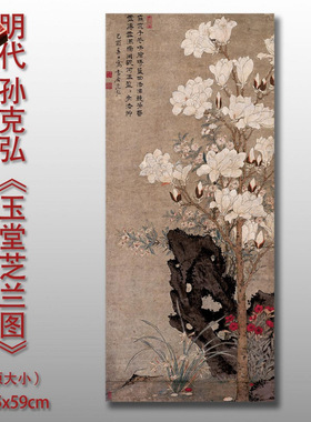 明孙克弘玉堂芝兰图国画玉兰图高