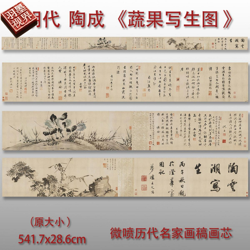 明陶成蔬果写生图长卷微喷画稿高清复制临摹画稿花鸟画写意画