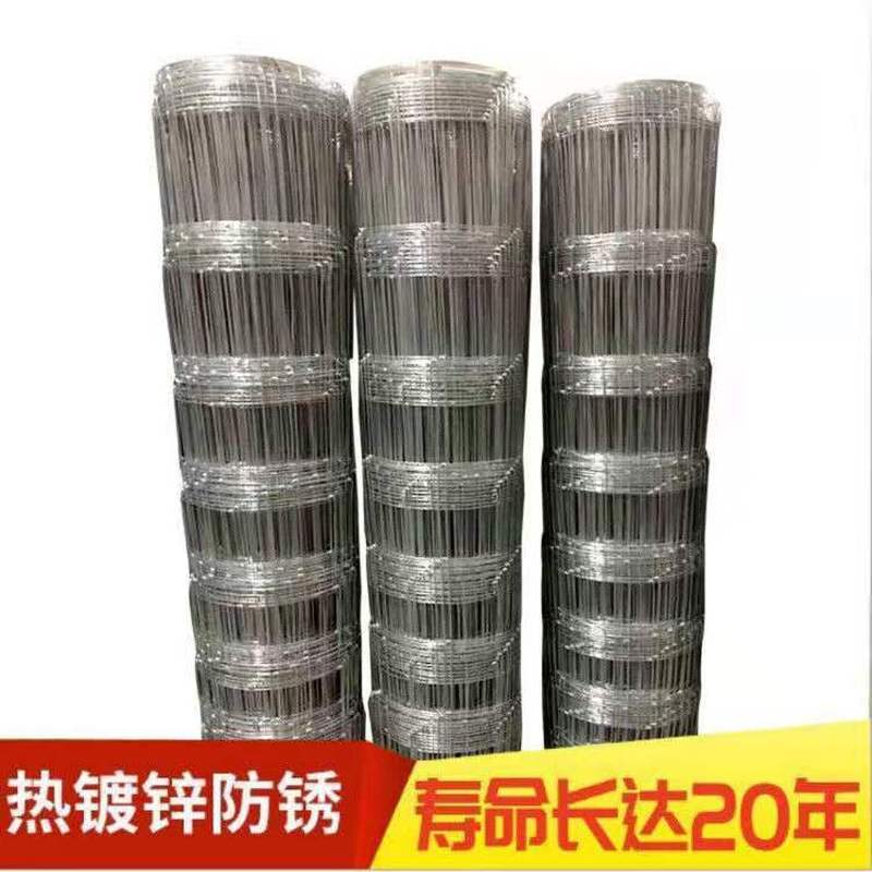 热镀锌防锈牛栏网铁丝网钢丝网围栏护栏网养牛养羊果园鸡鸭栅栏