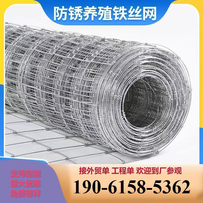 热镀锌铁丝网防锈牛栏网养殖果园防护网种植圈地拦牛羊隔离护栏网