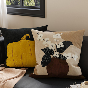 沙发抱枕高颜值客厅飘窗高级感靠垫大靠背床上睡觉腰靠枕套不含芯