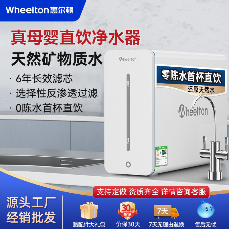 惠尔顿YK8纳滤净水器双出水