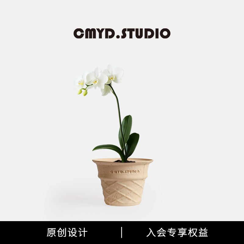CMYD设计款甜筒盆栽乔迁新居礼物