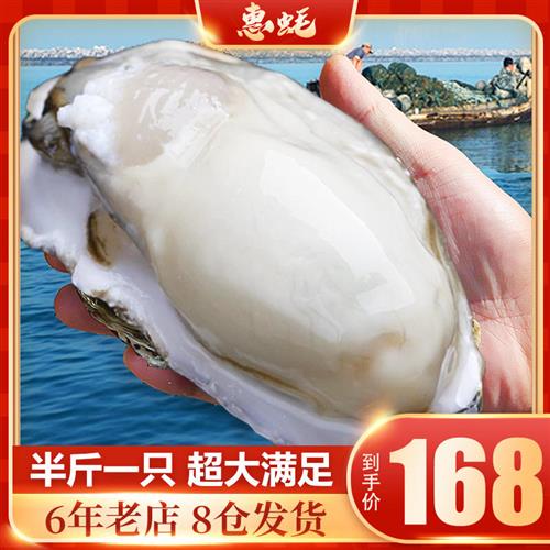 正宗乳山生蚝鲜活带箱10斤5XL山东即食烧烤牡蛎肉海蛎子新鲜水产