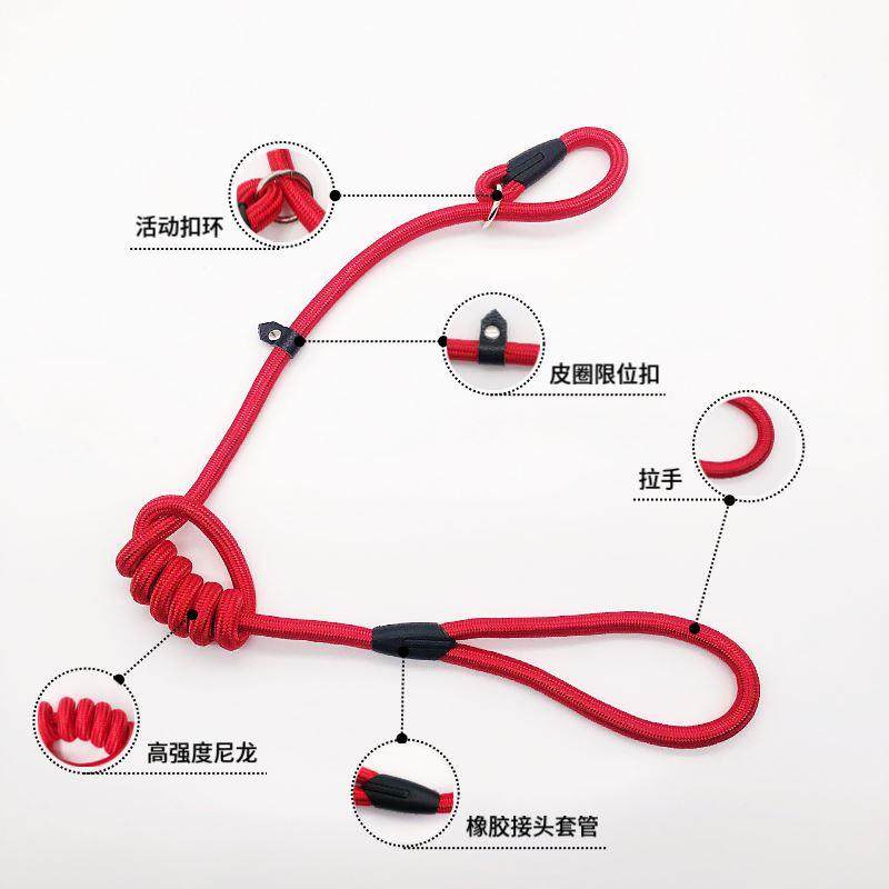 棉布牵引绳狗狗项圈套装金毛柯基狗绳子小型中型大型犬脖套半p链,鲜花速递/花卉仿真/绿植园艺,洒水/浇水壶,淘宝优惠券,粉丝福利购,淘宝优惠卷