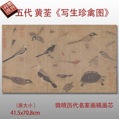 五代黄筌写生珍禽图名家国画真迹