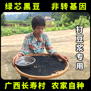非转基因农家绿芯黄心黑豆生的打豆浆专用有机盐炒新