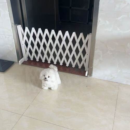 宠物围栏栅栏隔离门户外室内伸缩隔断拦猫拦狗栅栏挡板隔离网门栏
