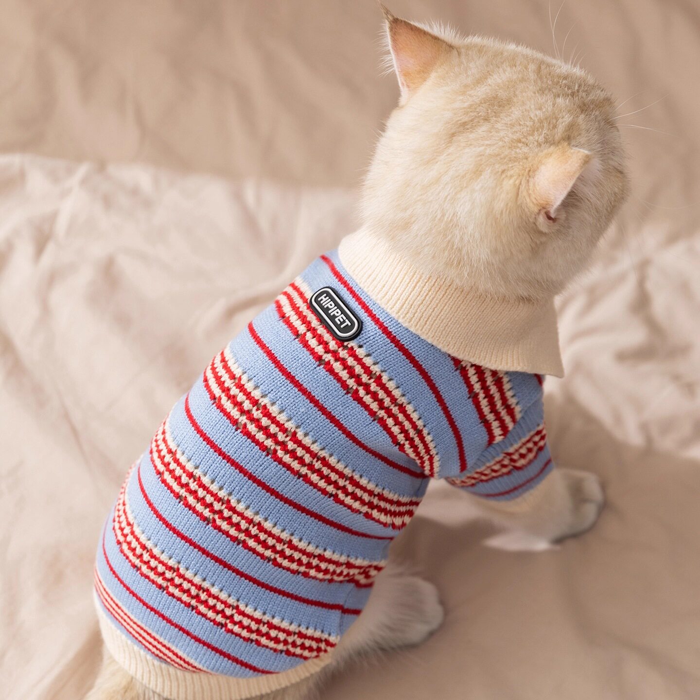 猫猫衣服秋冬猫装扮防掉毛加绒保暖金渐层布偶猫蓝猫英短可爱绒衣
