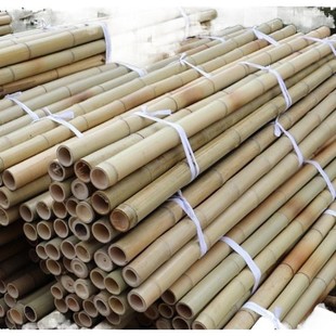 防腐竹竿 装饰白黄粗细竹竿子豆角菜园黄瓜搭架菜架竹旗杆楠竹