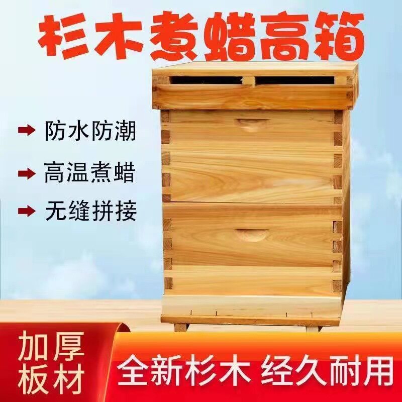 蜜蜂蜂箱中蜂煮蜡双层高箱带继箱圈烘干杉木标准密蜂箱诱蜂桶