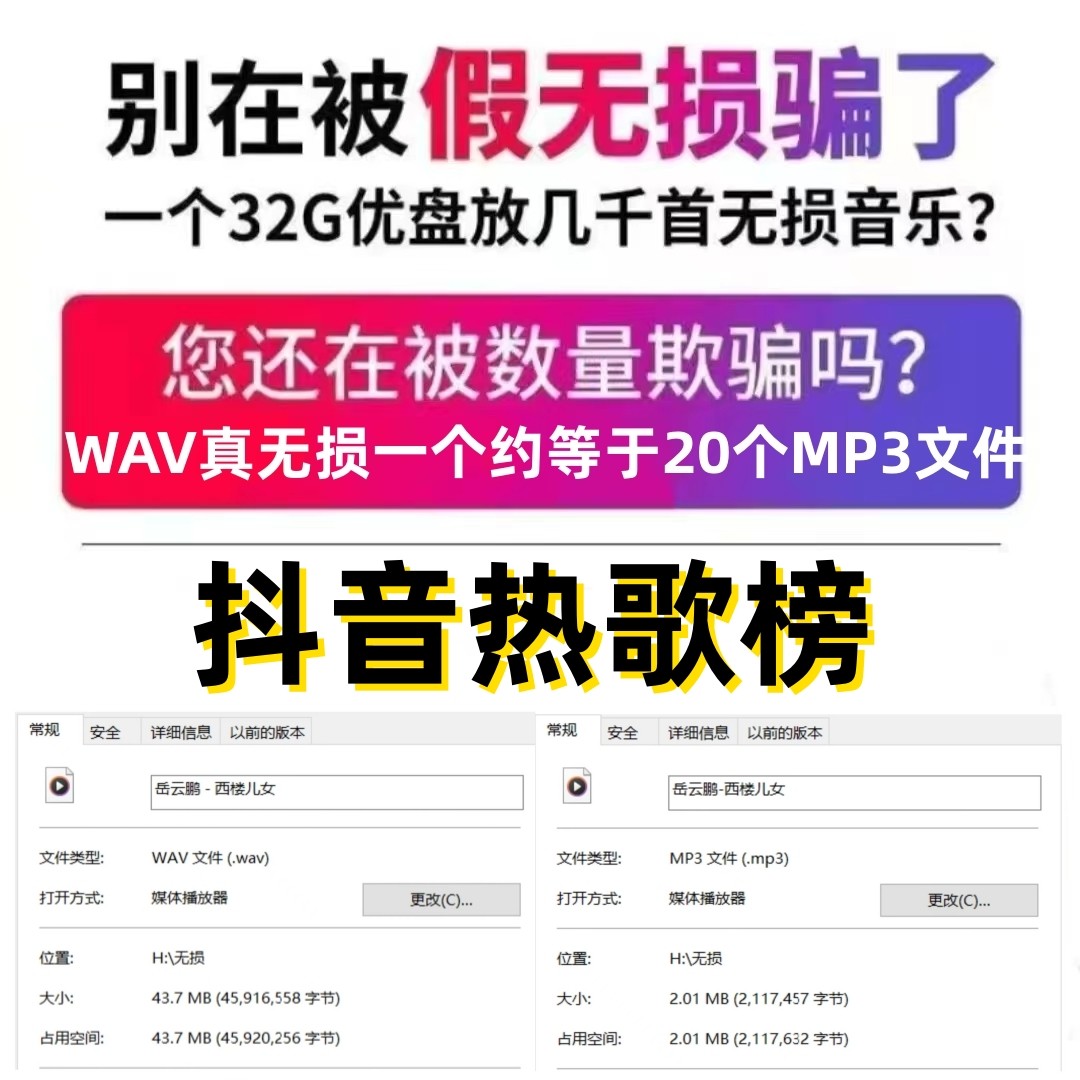 车载U盘持续更新真无损黑胶抓轨
