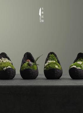 天青苔绿 新中式永生苔藓微景观 样板间家居儿童房桌面迷你小摆件