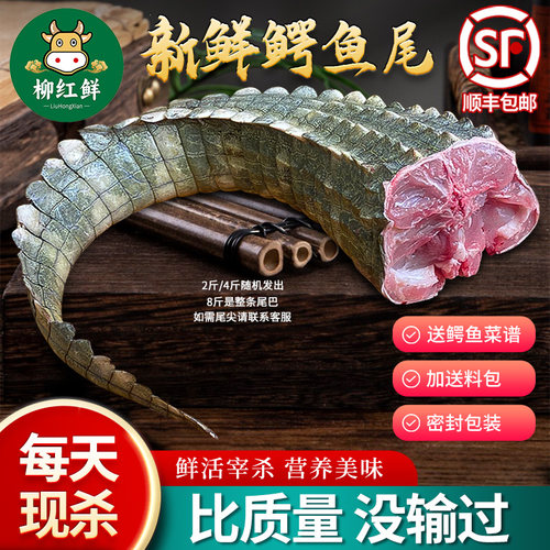 鳄鱼尾新鲜现杀鳄鱼尾巴