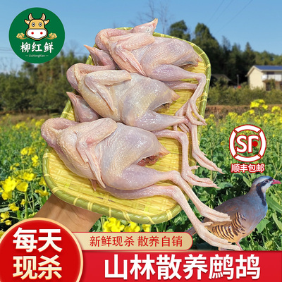 鲜鹧鸪活鸟现杀飞龙鸟肉