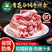 新鲜牛肋条 生牛肉牛肋条带肉烧烤食材谷饲牛肋排商用 原切牛肋排