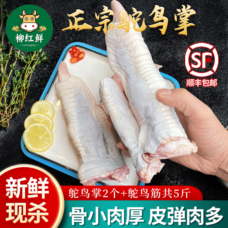 新鲜鸵鸟掌和鸵鸟筋5斤