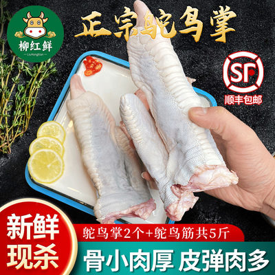 新鲜鸵鸟肉鸵鸟掌和鸵鸟筋5斤