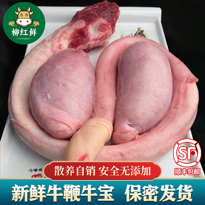 新鲜牛鞭整套黄牛鞭一鞭非两蛋