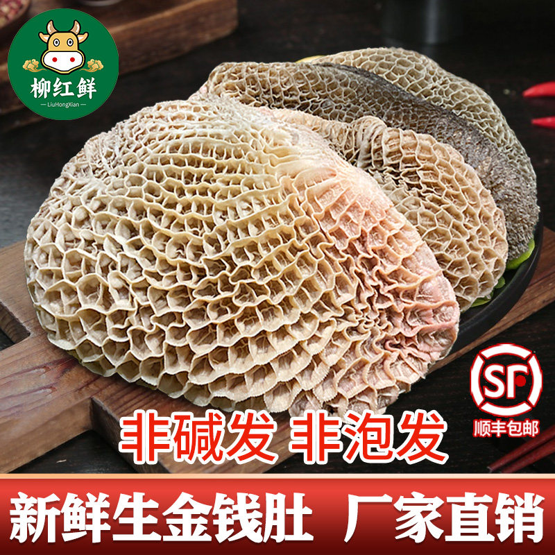 金钱肚 新鲜金钱肚鲜蜂窝肚黄牛肚原肚整个牛小肚黄金肚黑牛肚8成
